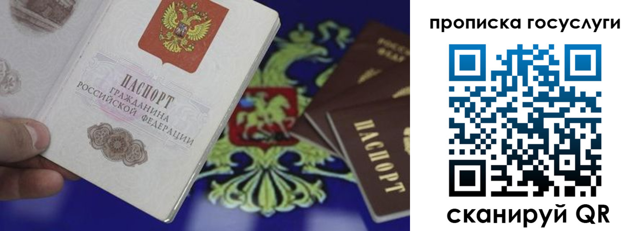 прописка для школы в Наволоках